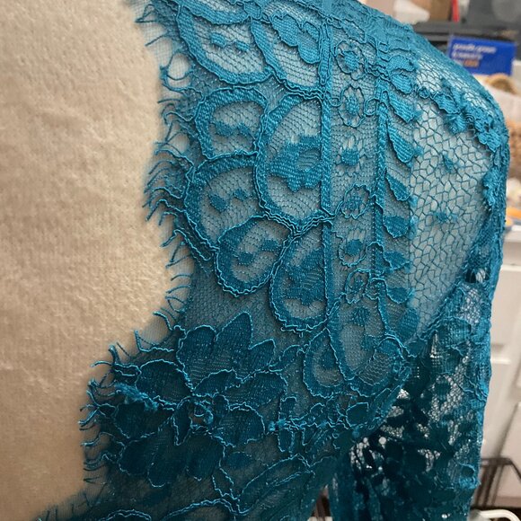 Catherine Deane Kelly Tulle and Lace Illusion Dress Gown, Size 4 - Picture 7 of 10